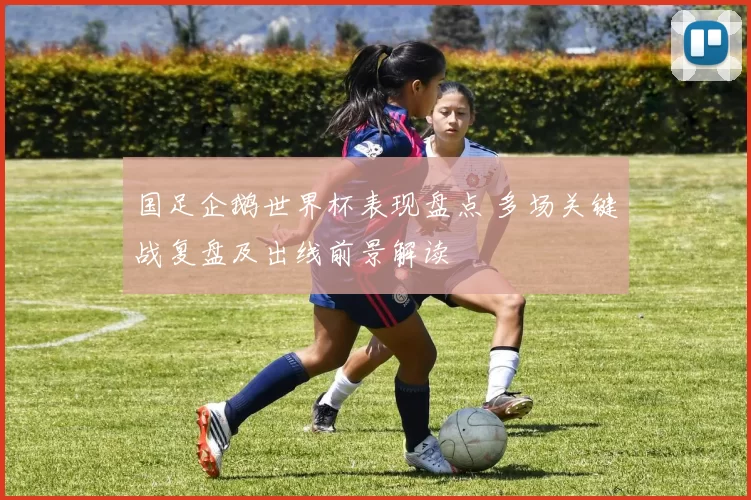 国足企鹅世界杯表现盘点 多场关键战复盘及出线前景解读